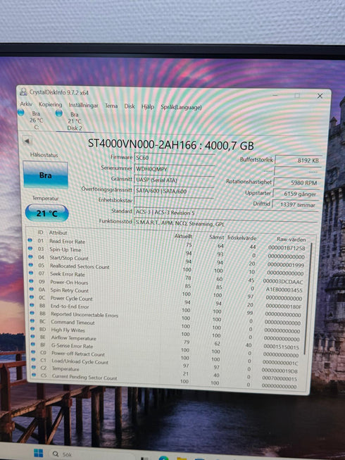 Seagate NAS HDD 4TB hårddisk (Beg)